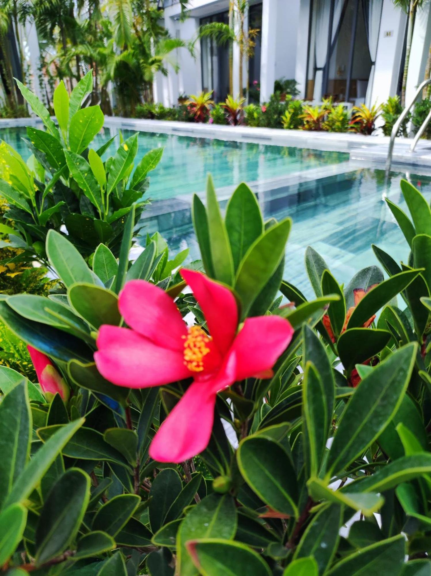 Ngoc Trai Xanh Bungalow ฟู้โกว๊ก ภายนอก รูปภาพ