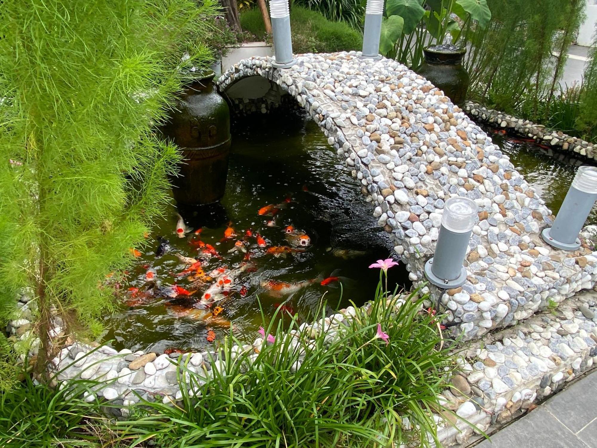 Ngoc Trai Xanh Bungalow ฟู้โกว๊ก ภายนอก รูปภาพ